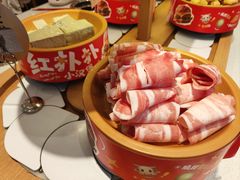 -龍歌自助小火锅(崂山丽达店)