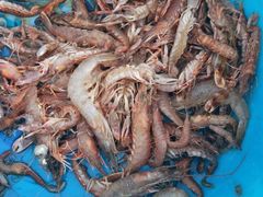 -青岛沙子口国家中心渔港