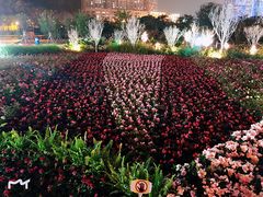 -龙环葡韵住宅式博物馆