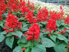 -苏州河梦清园环保主题公园