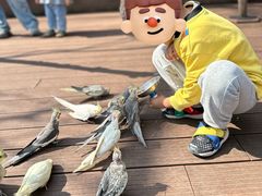 -燕塞湖鸟语林景区