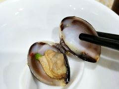 -顺德哥卜卜贝(旗舰店)