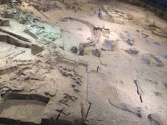 恐龙博物馆-自贡恐龙博物馆