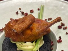 贡椒乳鸽-南堂馆·新川菜(天府三街店)