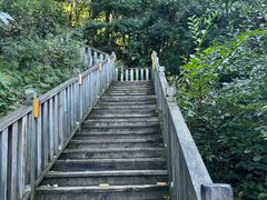 -帽儿山国家森林公园