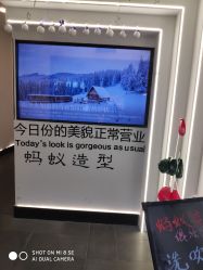 -蚂蚁造型俱乐部