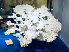 -游龙石文化科普馆