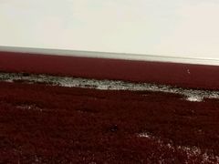 -红海滩国家风景廊道