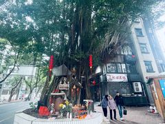-乌山风景区