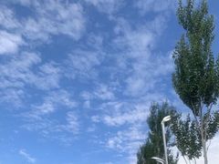 -长春市南湖公园