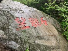 -王顺山国家森林公园