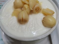 -义顺牛奶公司(新马路老店)