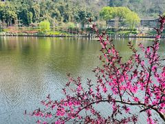 -重庆彩云湖湿地公园