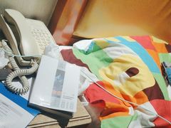 -圣爵菲斯大酒店(长沙世界之窗店)