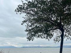-深圳湾公园(南山区)