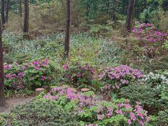 -金水泊山庄·花椒鸡(铁山坪店)