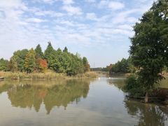 -宁波杭州湾国家湿地公园