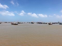 -丰收渔港饭店(嵊泗店)