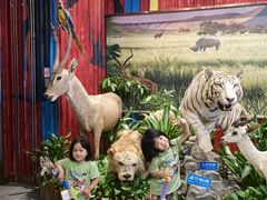 -帝企鹅自助餐厅•儿童岛•真企鹅(长隆企鹅酒店)