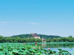 -颐和园