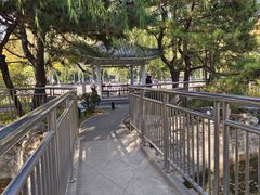 -黄村公园