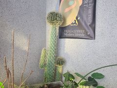 -HUG·拥抱咖啡(郑州宝龙广场店)