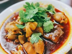 -天一沾水肥肠(科园一街店)