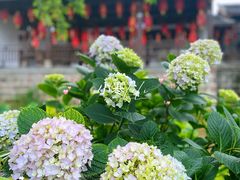 -南山植物园