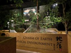 -香市公园-中国沉香文化博物馆