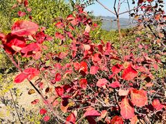 -北京西山国家森林公园