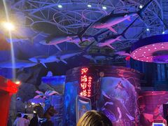 -烟台海昌鲸鲨海洋公园