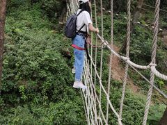 -梦幻奥陶纪景区