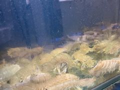 -品味居·首店·大连鲜活海鲜大连菜(东港店)