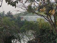 -石老人观光园