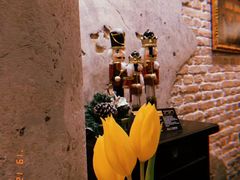 -Casa Nova