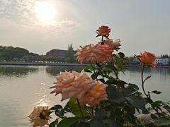 -千禧万福汉亭舫·船舫苏宴