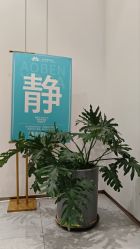 -奥本瑜伽·普拉提