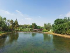 -洋湖国家湿地公园