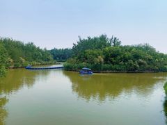 -塘沽森林公园