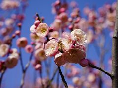 -雨花胜境