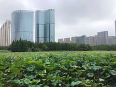 -艾溪湖湿地公园