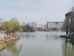 -青枫公园