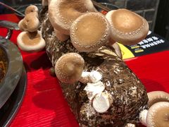 -谭鸭血老火锅(漳州路店)