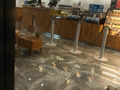 -Blueglass酸奶(财富购物中心店)