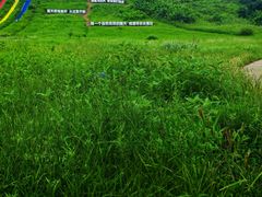 -南戴河国际娱乐中心