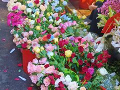 -循礼门鲜花花市(武汉循礼门店)