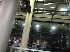 -西沃古尔·拉姆古兰爵士国际机场