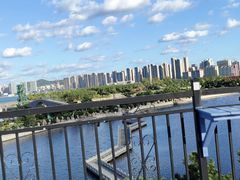 -莫内艺术岛海景咖啡