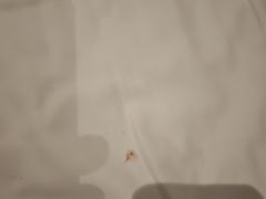 -柏曼酒店(广州长隆旅游度假区汉溪长隆地铁站店)