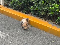 -熊叔熊婶面包房(团结湖店)